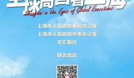 日本高管爆料视频播放,视频播放背后的惊人真相