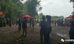 扶绥新闻爆料网官网,最新动态一网打尽，尽在官网揭晓