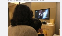 景甜爆料陈晓视频大全集,视频大全集深度解析